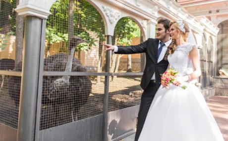 Kde uspořádat svatbu, svatba na zámku, svatba v zoo