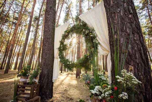 Šišky a chvojí jako dekorace