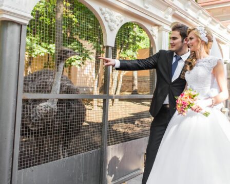 Kde uspořádat svatbu, svatba na zámku, svatba v zoo